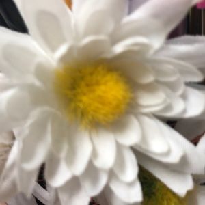 Meet your Posher, Osiris